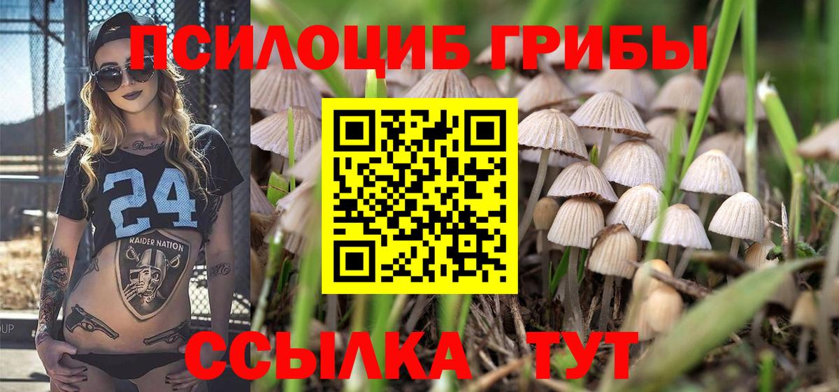 Галлюциногенные грибы MAGIC MUSHROOMS  магазин    Бугуруслан  Псилоцибиновые грибы мухоморы  Вход с VPN 